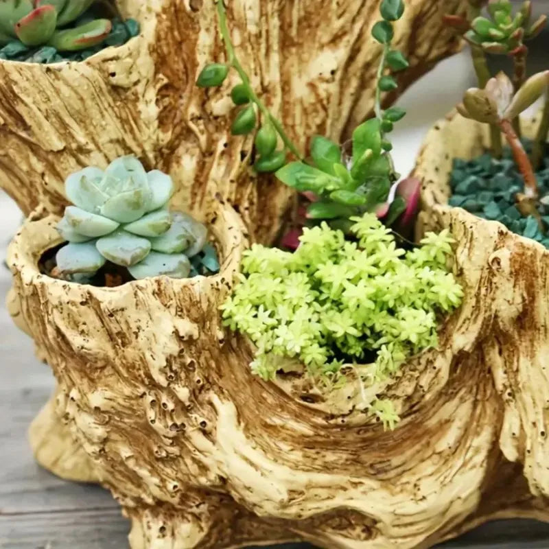 Asymmetrical Flowerpot